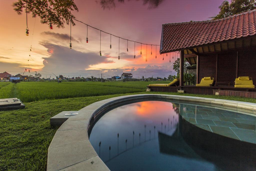 Big Brother Surf Inn Canggu Esterno foto