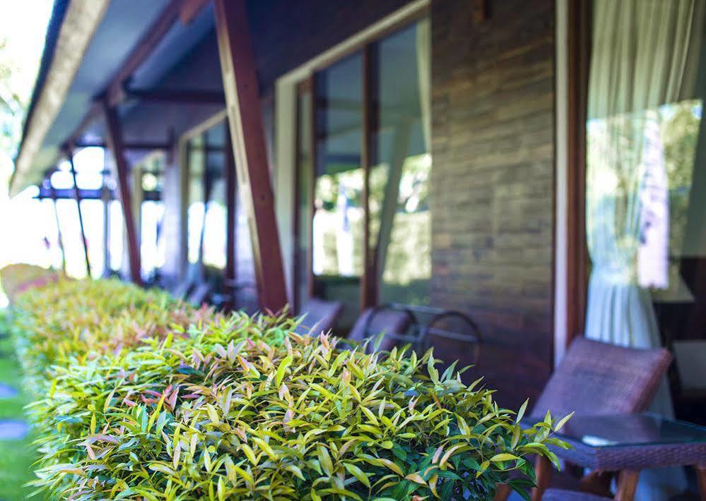 Big Brother Surf Inn Canggu Esterno foto